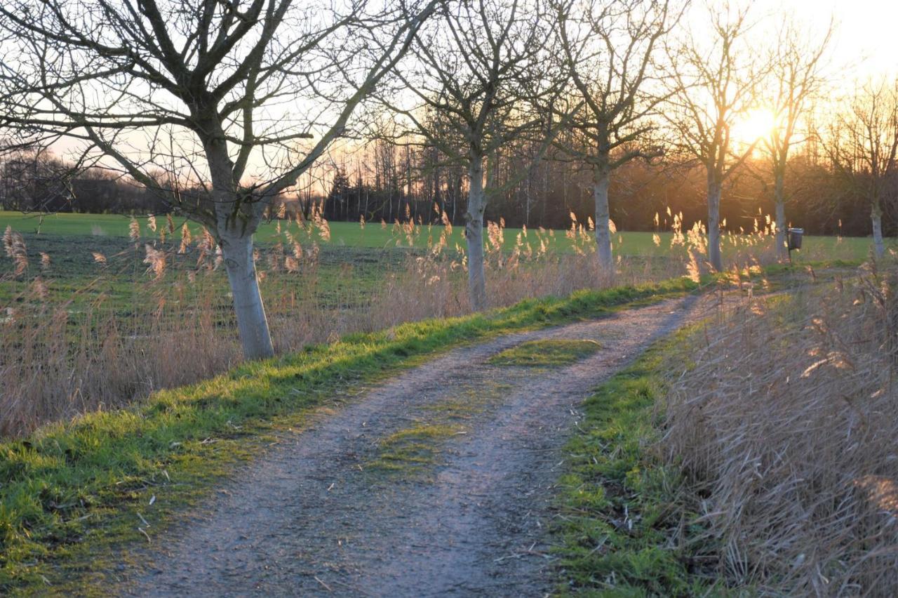 Vakantiewoning Lescaut Hamme Exteriör bild